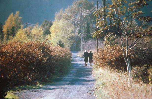 autumn walk